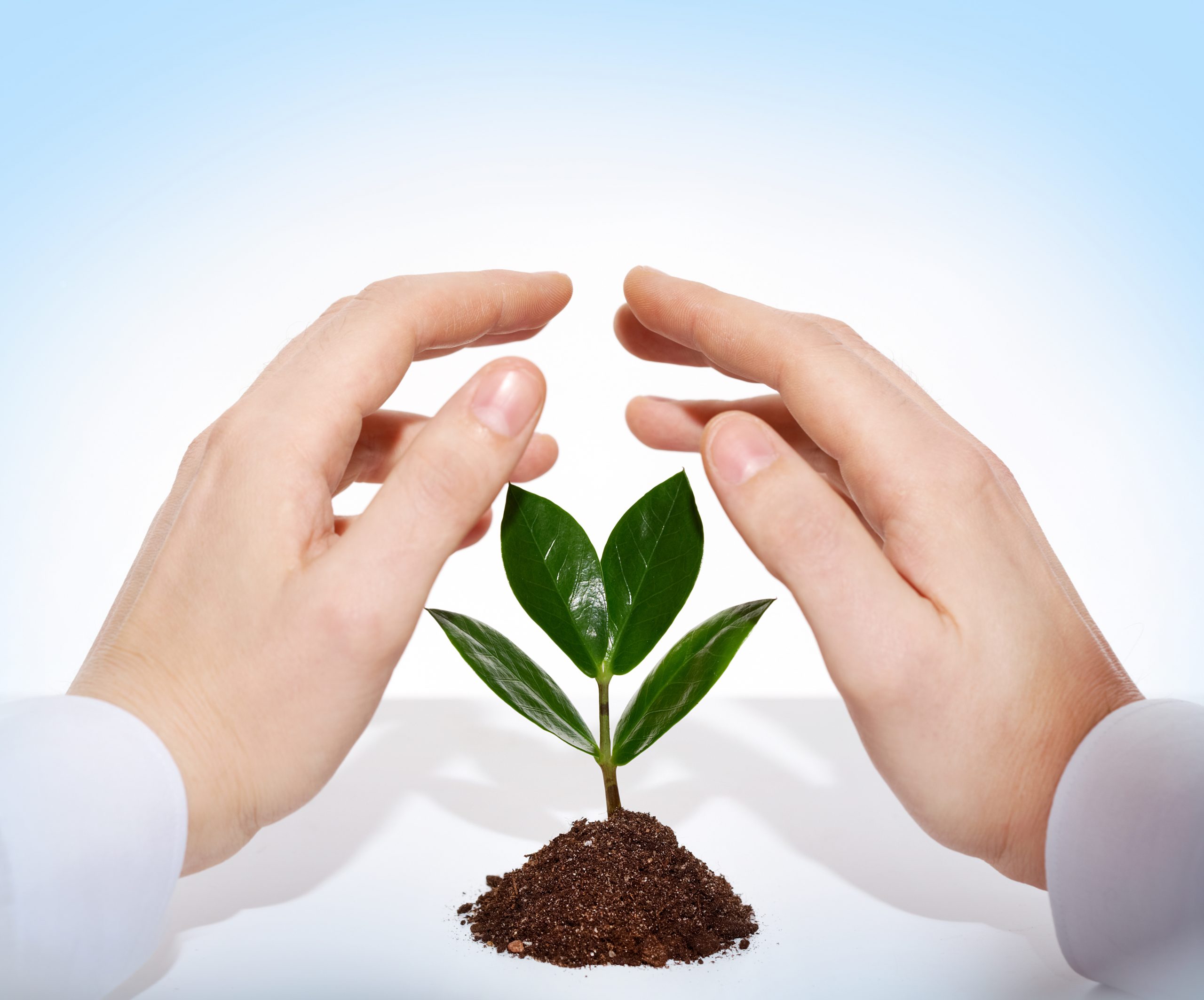 To Grow or Not to GrowThat Is the Question You Can Choose Your Life
